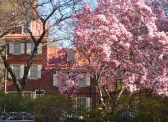 Blocks We Love: 400-500 Locust Street