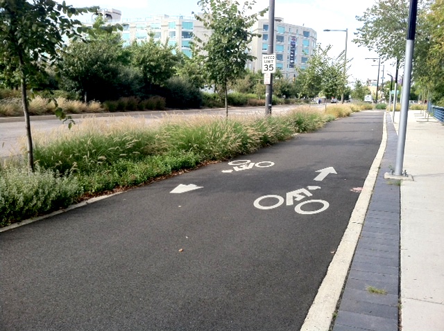 A wheel winner: Bikes lanes make motorists safer too