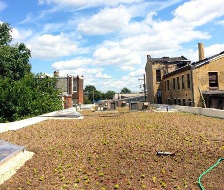 Solo has already installed a green roof on the warehouse next to Kensington Yards
