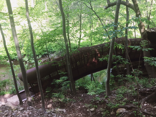 Keeps Getting Better With Age: Exploring The Fingerspan Bridge