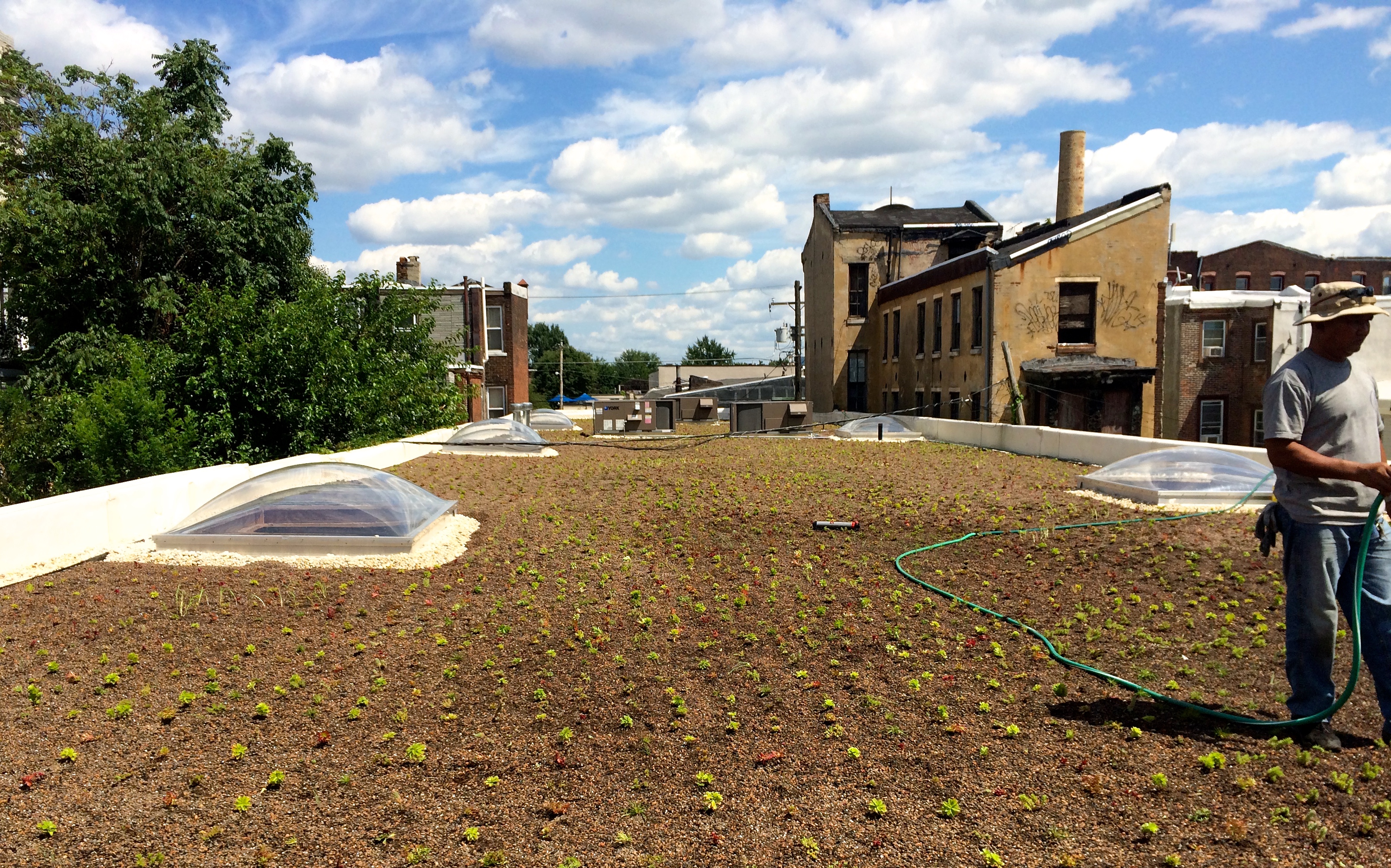 Green Roof - Photo courtesy of Philadelphia Green Roofs