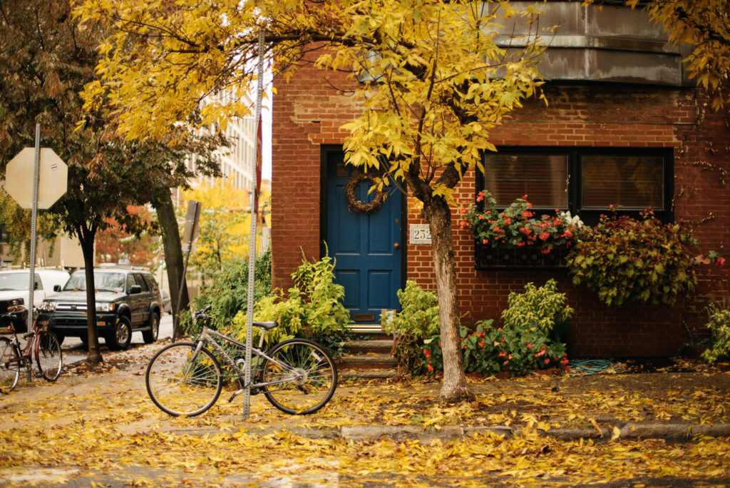 fallen leaves in philadelphia rowhome