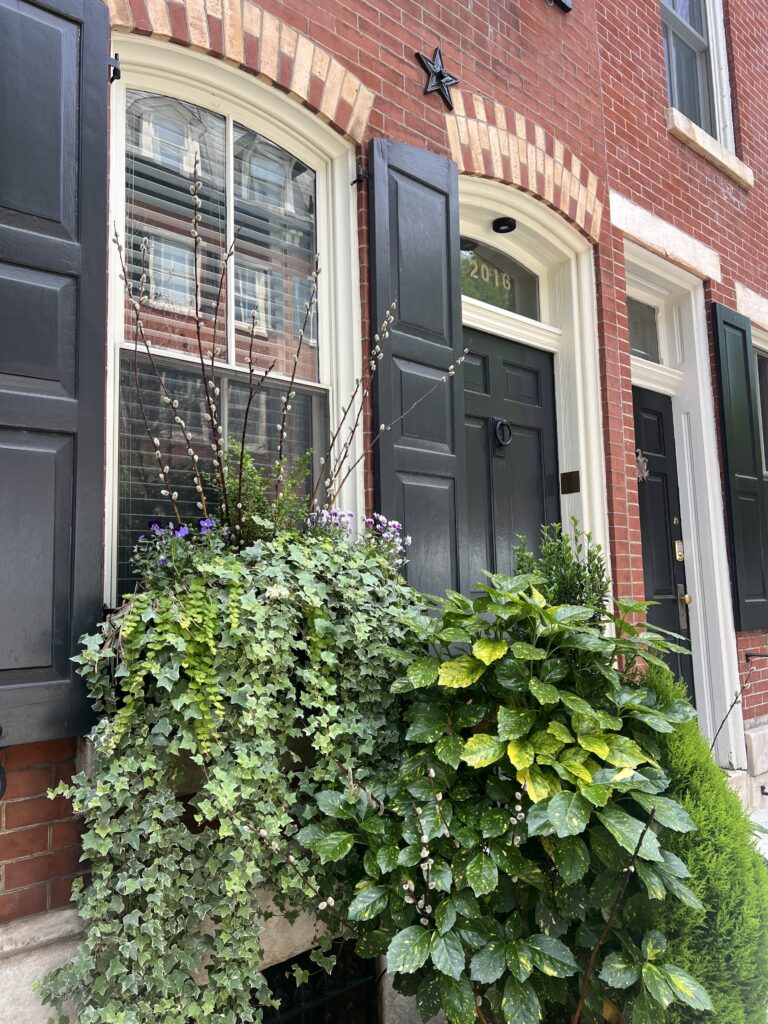 Close up Image of Rowhome in Philadelphia with lush window box gardens, a black door, black shutters a brick facade and black star bolt above the door.