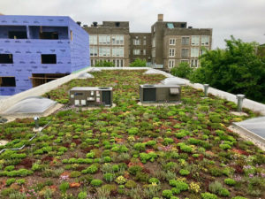 Indigo Bike Share Green Roof