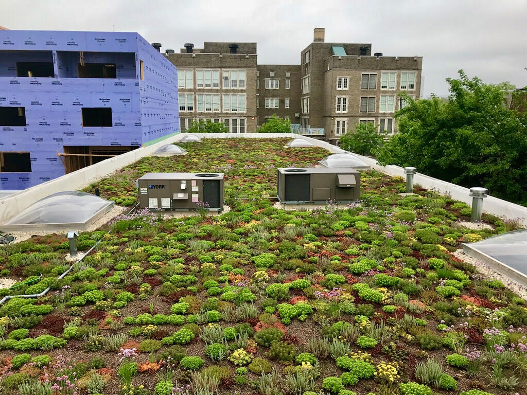 Indigo Bike Share Green Roof