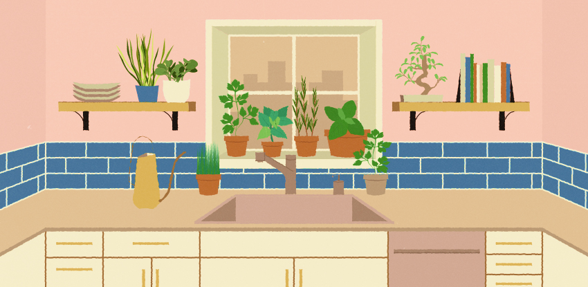 A Philadelphia Renters Guide to Houseplants