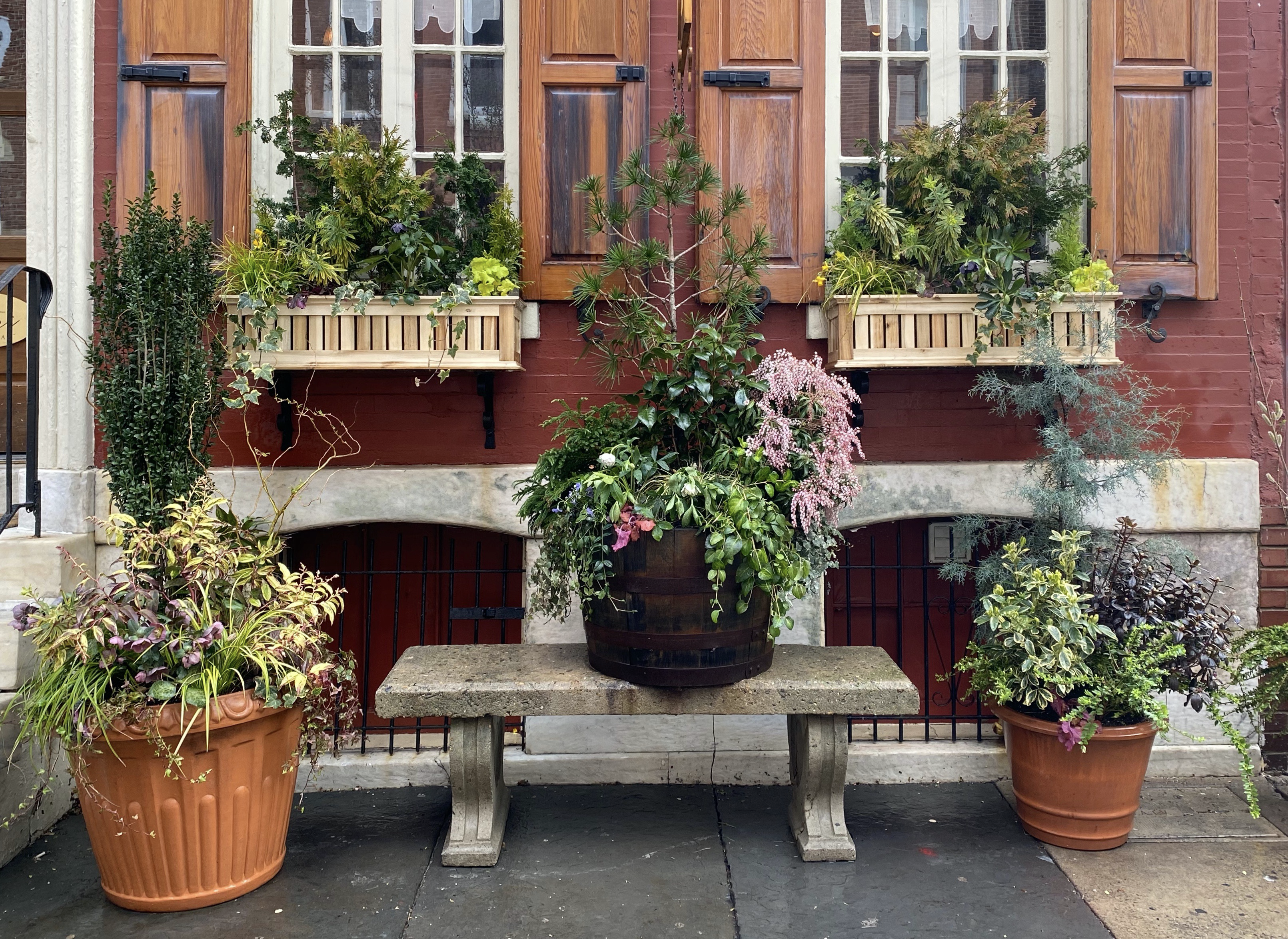 Container Gardening 101