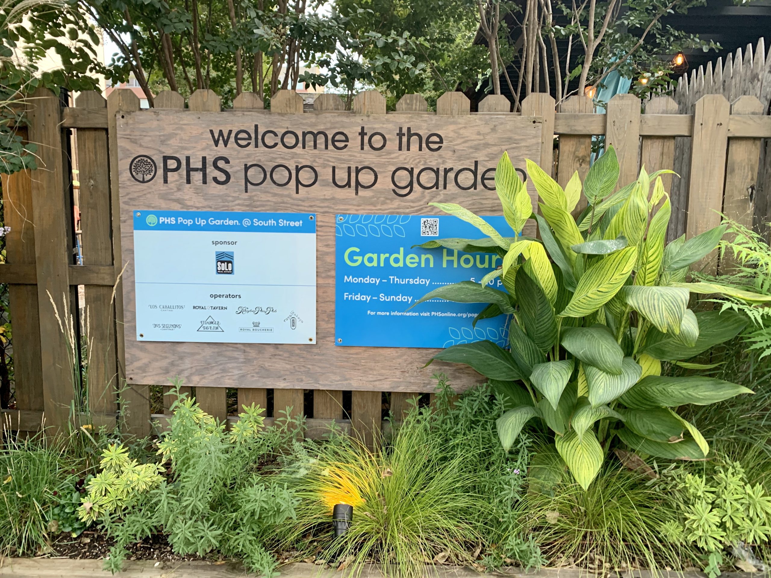 PHS South St Pop Up Garden Returns