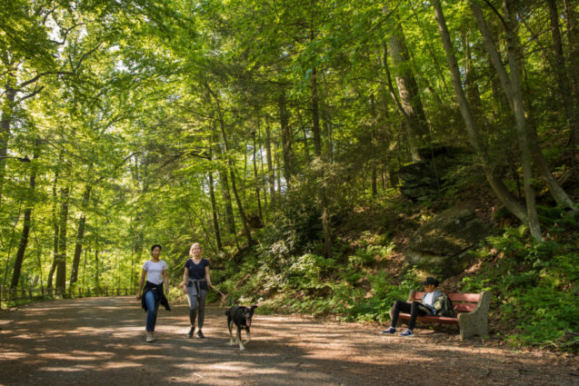 Wissahickon Valley Park. Image: FOW.org