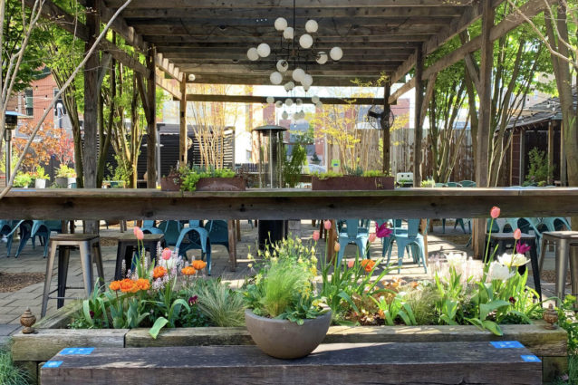 PHS Pop Up Garden on South Street