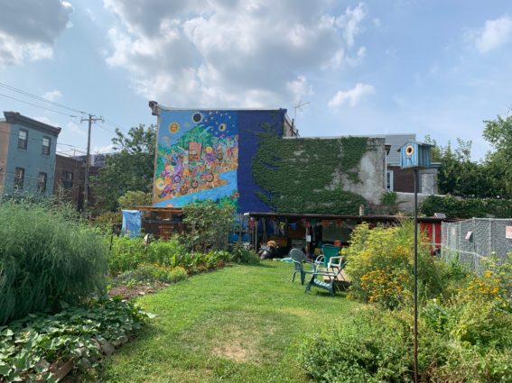 Emerald Street Community Farm