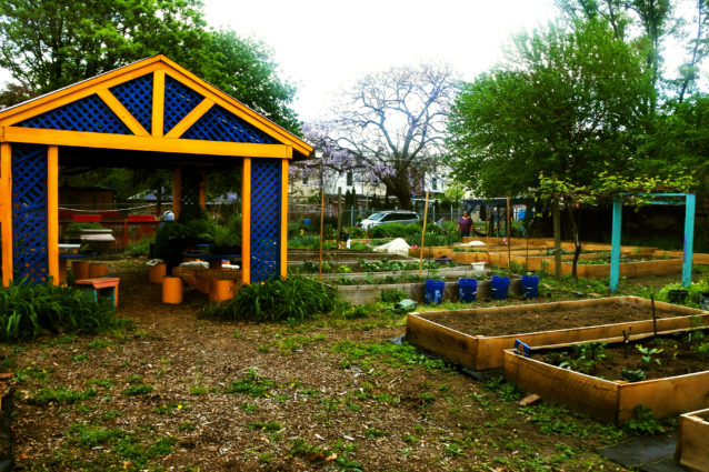 Las Parcelas. Image: Norris Square Neighborhood Project