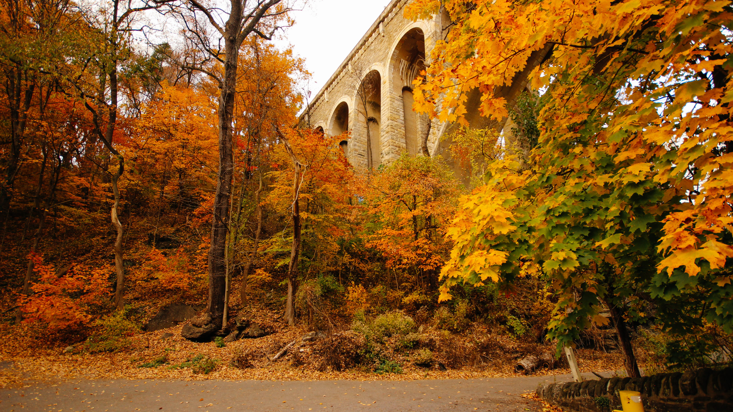 Fall Foliage: Leaf Peeping in Philly