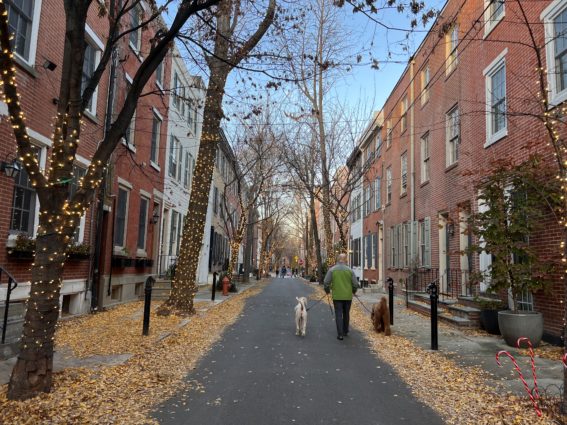 A man walks two dogs on the 1700 Block of Addison Street - Image: Cory J Popp