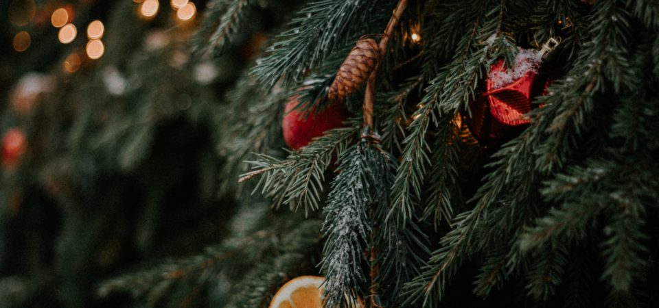 Holiday Tree Photo by Алсу Вершинина on Unsplash