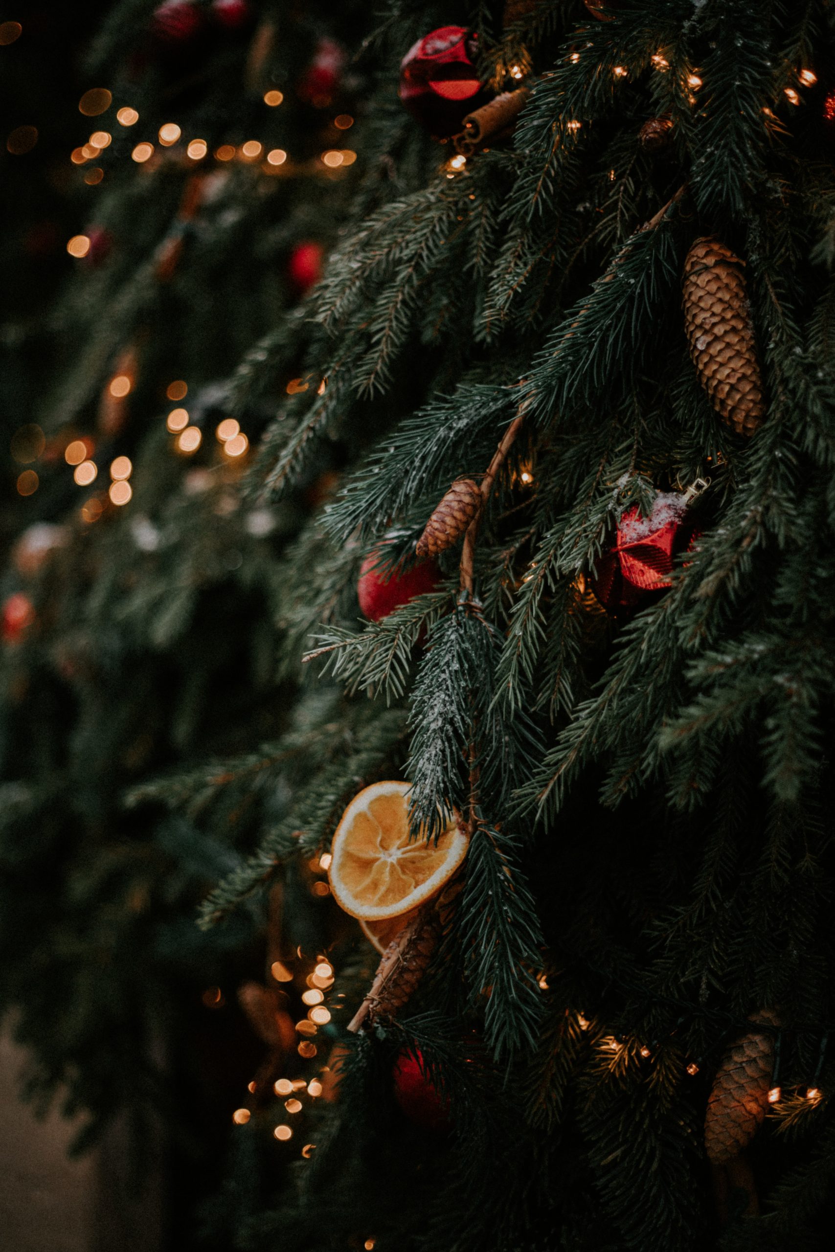 Holiday Tree Photo by Алсу Вершинина on Unsplash