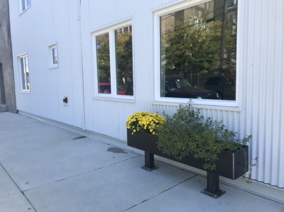 A built in planter with greenery at kensington yards. 