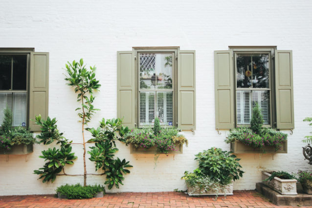 rowhome windows and planter