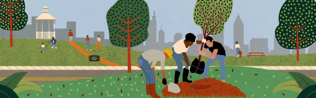 An illustration depicting a tree planting for Solo's community page.