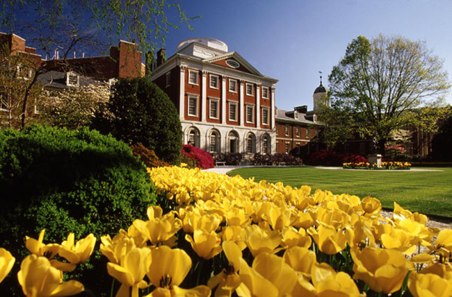 Pennsylvania hospital exterior and garden.
Images: Penn Medicine