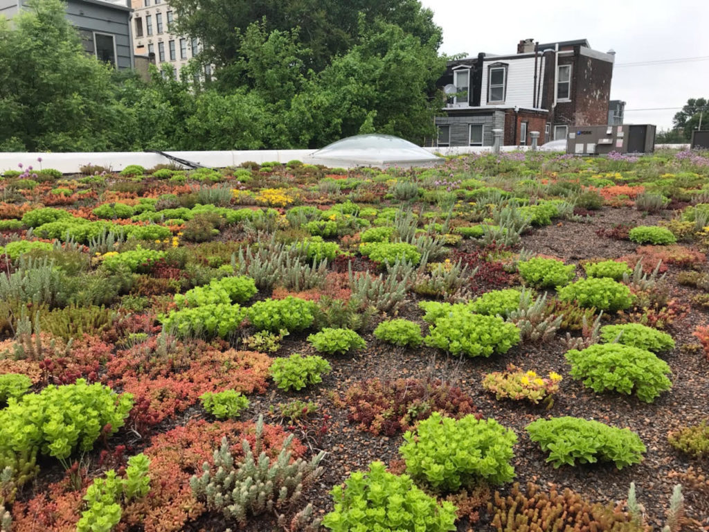 Philadelphia Green Roofs