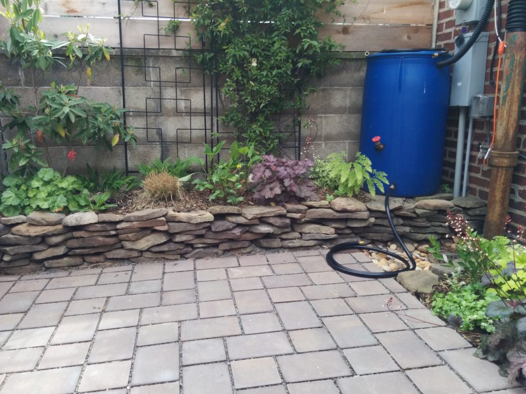 Rain Barrel in a backyard. 