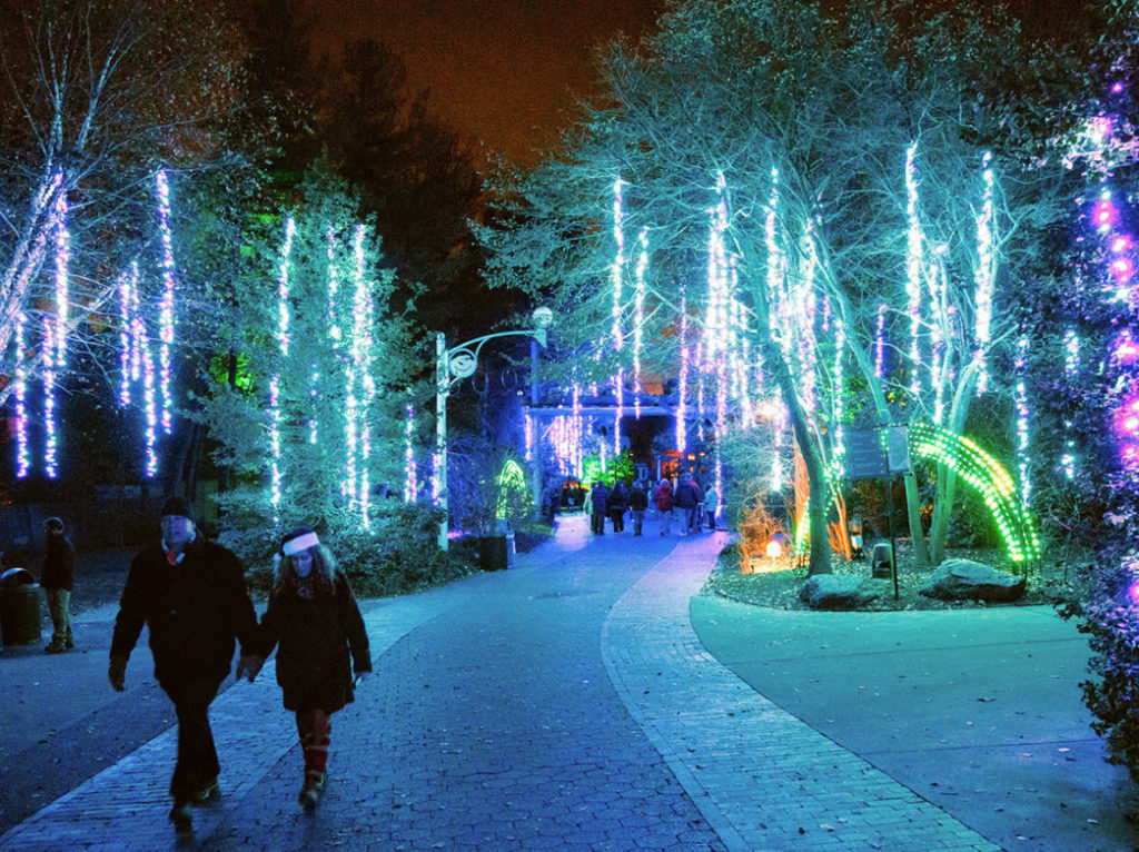 LumiNature at the Philadelphia Zoo.Photo: Georgi Anastasov Photography