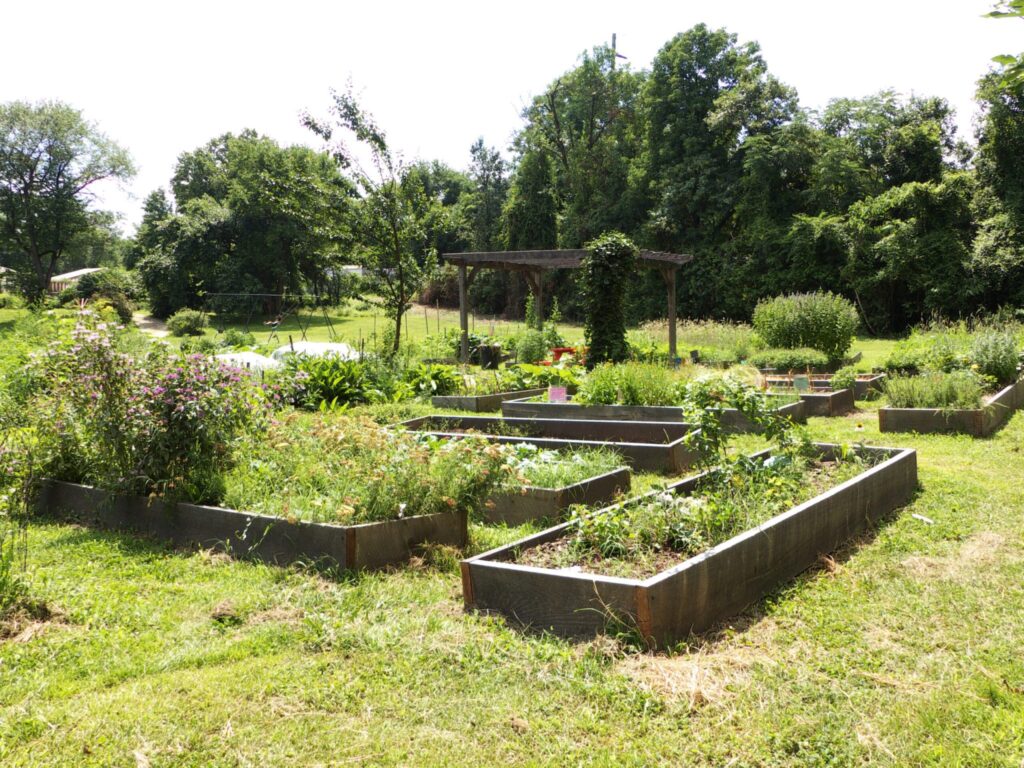 Raised garden beds at Bartram's Garden. Image: True Love Seeds