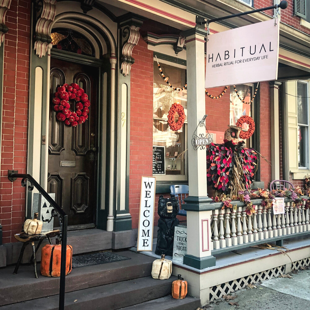 Habitual in Jim Thorpe decorated for the fall season. Image courtesy of Hawk Mountain Sanctuary.