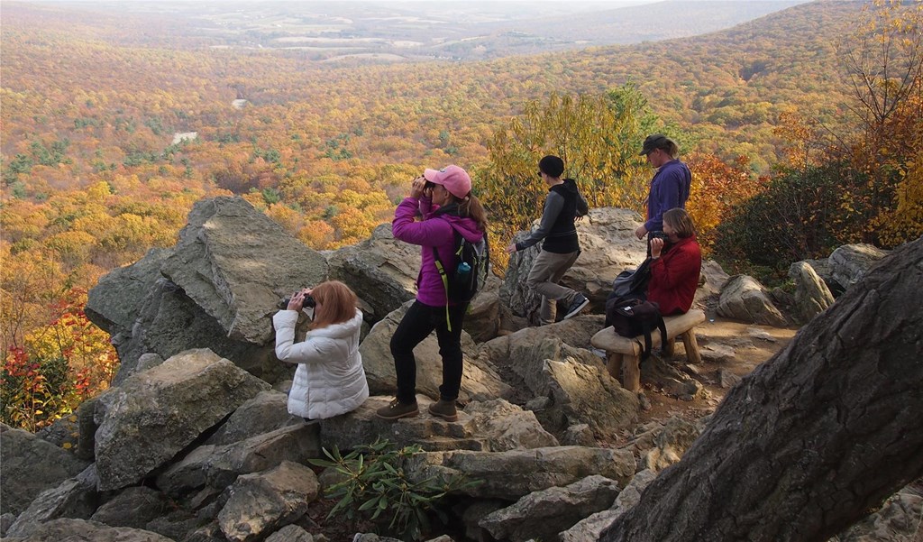 People birdwatching at Hawk Mountain Sanctuary on a rocky ledge among lush fall foliage. Image courtesy of Hawk Mountain Sanctuary.